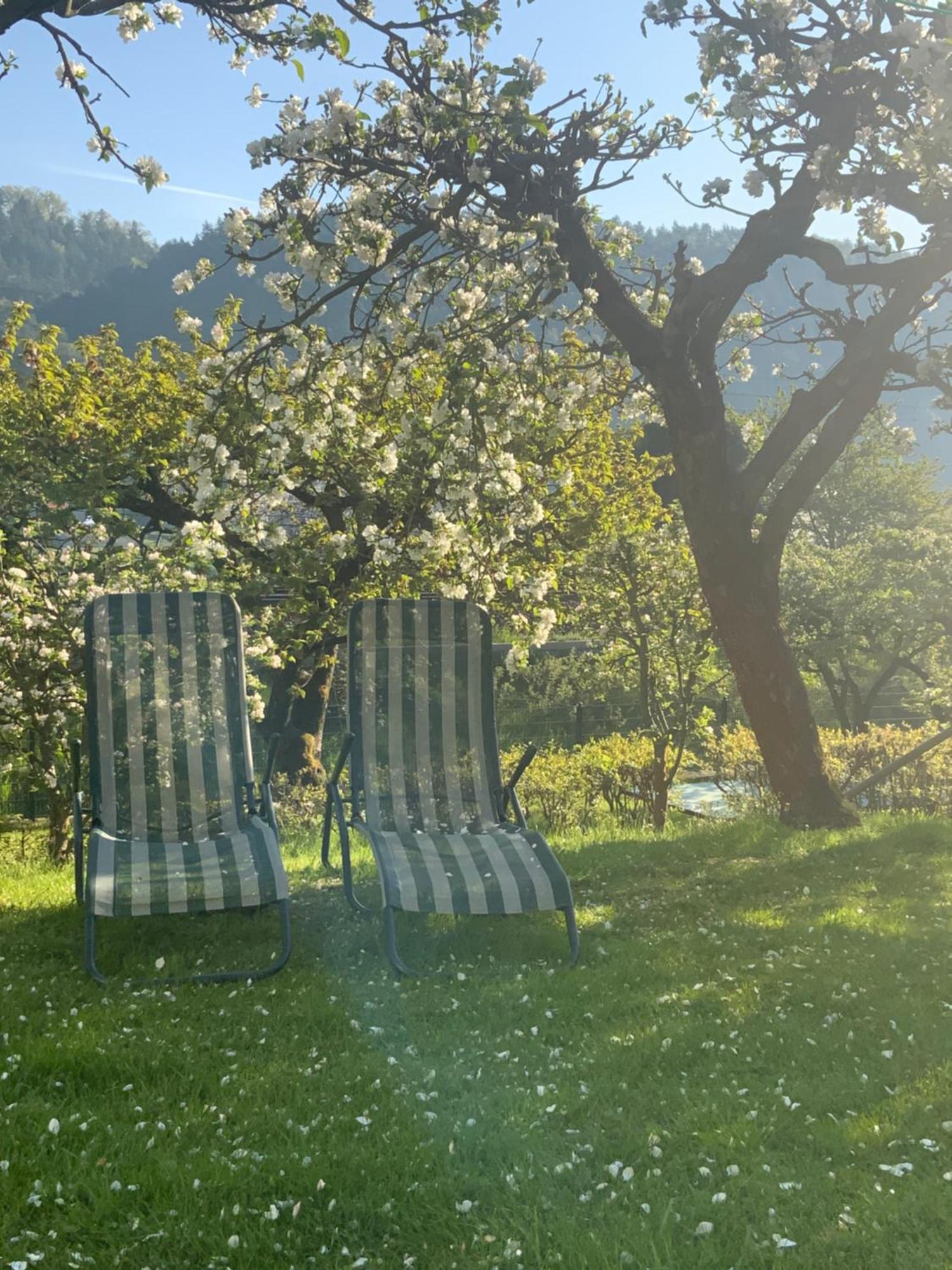 Pension Hoenel-Hof Бад Шандау Екстериор снимка